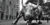 new-york-city-wall-street-charging-bull-black-and-white-christopher-arndt