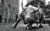 new-york-city-wall-street-charging-bull-black-and-white-christopher-arndt